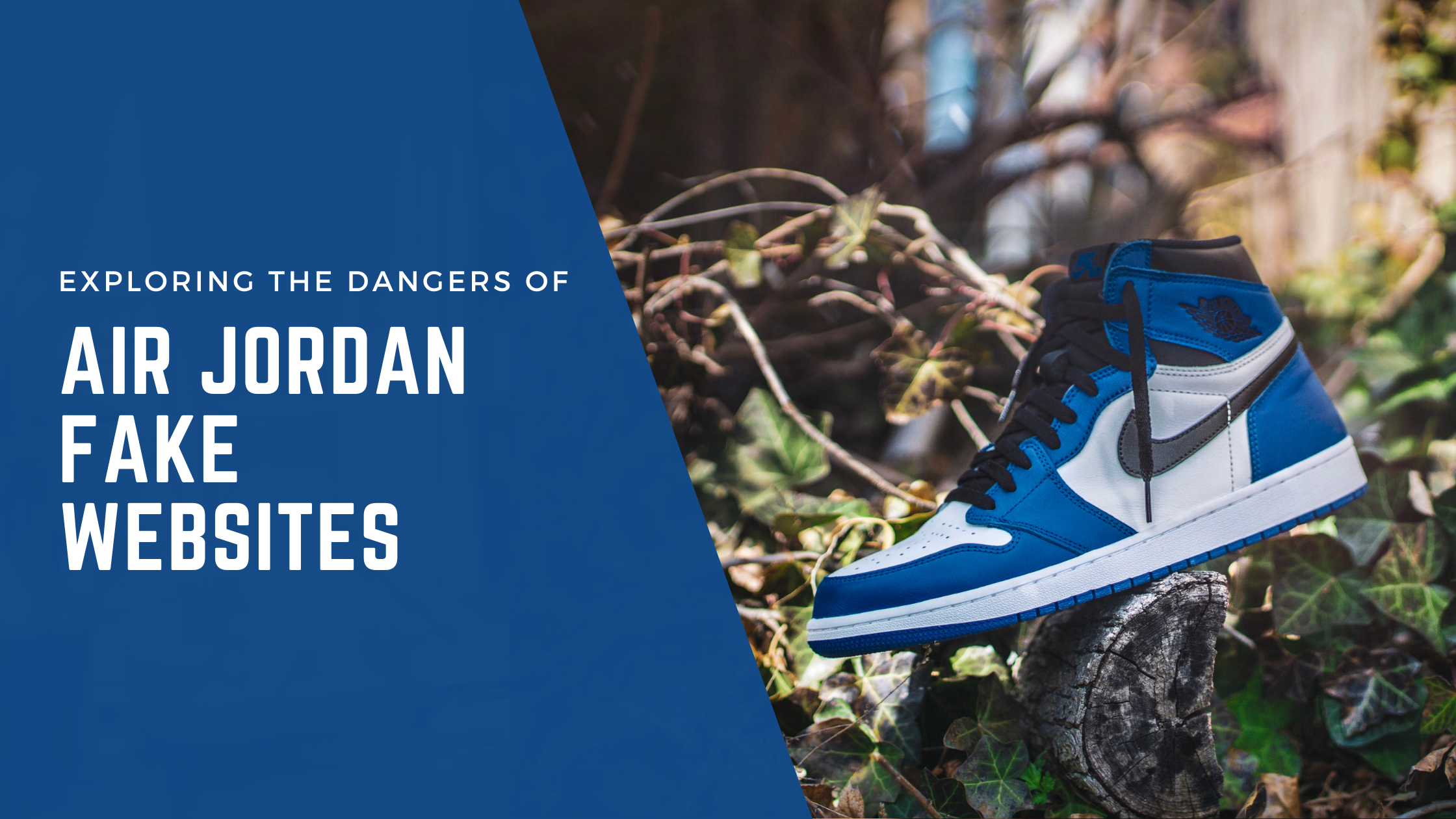 Exploring the Dangers of Air Jordan Fake Websites